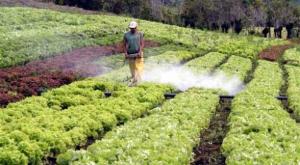 MINAGRI Y MINCETUR BUSCAN SUSPENDER DECISIÓN  Nº436 DE LA CAN