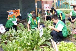 MINAM LANZA CAMPAÑA DE RECICLAJE DE RESIDUOS SOLIDOS EN COLEGIOS