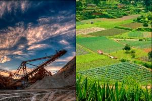 Minería no ha afectado la producción agrícola