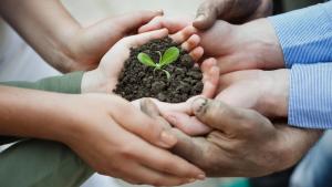 Modelos innovadores de inclusión financiera fortalecen agricultura familiar en América Latina y el Caribe