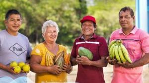 Mosca de la fruta retrocede en Perú gracias a alianza Sensasa–BID