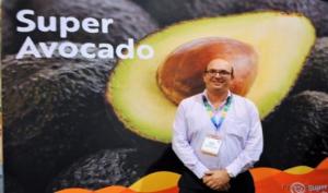 Muchas de las inversiones planificadas en palta se están derivando a otros países, siendo Colombia uno de los principales