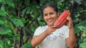 Mujeres representan el el 21.3% del total de productores de cacao