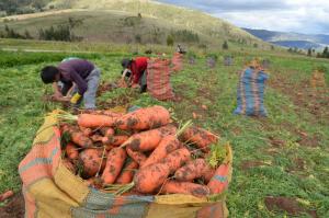 “Necesitamos que el agricultor llegue más rápido al mercado”