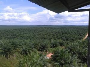 Ocho Sur defiende los derechos de sus trabajadores y del medio ambiente