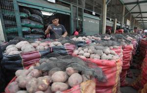 Oferta de papa que se comercializa en los mercados caería hasta 12.5% el próximo año por menor uso de fertilizantes