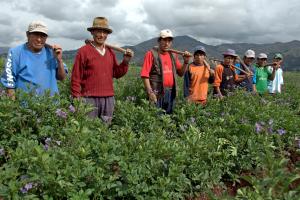 OIT destaca urgencia de prevenir y mitigar contagio del Covid-19 en zonas rurales