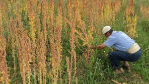 ORGANIZAN CURSO PARA EL MANEJO DE COSECHA DE PRODUCTOS AGROPECUARIOS