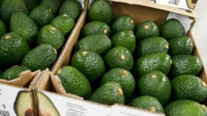 PALTA DE CALIFORNIA OBTIENE MEJORES PRECIOS ANTE MENOS PRODUCCIÓN MEXICANA