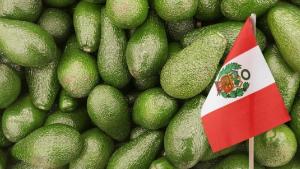 Paltas frescas lideran agroexportaciones peruanas, concentrando el 17.2% del total