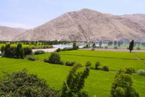 PASTO GRANDE NO OTORGARÍA AGUA PARA EL VALLE DE TAMBO