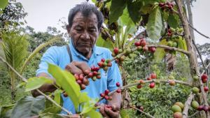 Pequeños agricultores accederán a investigación para fortalecer exportación de productos