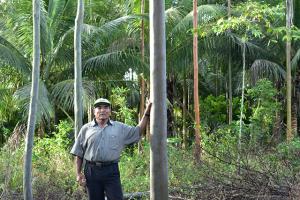 Pequeños productores agroforestales de San Martín son los primeros en obtener una certificación de Cadena de Custodia de FSC