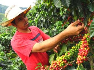 PEQUEÑOS PRODUCTORES Y PERHUSA FORTALECEN CRECIMIENTO 