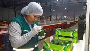 Perú busca 13 nuevos accesos para productos agrícolas