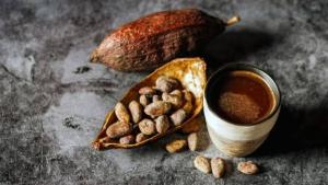 Perú: Cacao en grano el cuarto producto más exportado hacía los países musulmanes