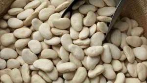 Perú exportó 8.968 toneladas de pallares por US$ 15.1 millones en 2024