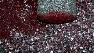 Perú exportó carmín de cochinilla por US$ 48 millones entre enero y abril