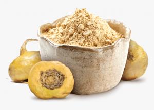 Perú exportó harina de maca por más de US$ 5 millones en el primer trimestre de 2023