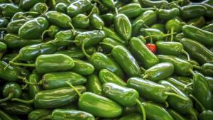 Perú exportó jalapeño a 18 mercados en 2024, siete menos que el año previo