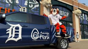 Perú fortalece y amplía su presencia como exportador de paltas en Estados Unidos