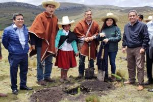 Perú iniciará intensa campaña de reforestación