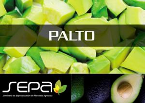 PERÚ NECESITA DESARROLLAR MATERIAL GENÉTICO, TECNOLÓGICO Y VIVEROS DE PALTA