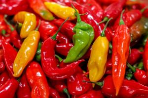 Perú obtiene autorización para exportar ajíes Capsicum a Uruguay