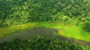 Perú presentará avances sobre conservación de la biodiversidad en la COP 16-Colombia