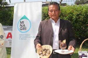 PERÚ PRODUCIRÍA 4.7 MILLONES DE TONELADAS DE PAPA ESTA CAMPAÑA