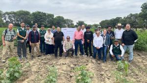 Perú recibe a delegación de Egipto para compartir experiencia sobre producción de algodón