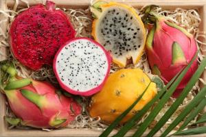 Perú se convierte en un mercado clave para la exportación de pitahaya ecuatoriana