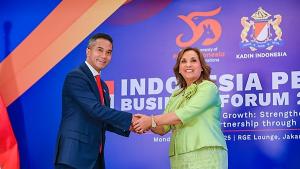 Perú será el principal centro logístico del Pacífico sur