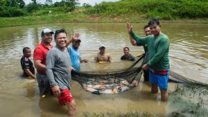 Pez nativo “Paco” ayuda a conservar más de 52 mil hectáreas de bosques en Madre de Dios