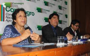 Piden balance para saber cuánto han devuelto en beneficios al país los agroexportadores antes de renovar la Ley de Promoción Agraria