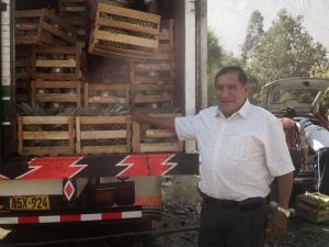 PIÑA GOLDEN PERUANA BUSCA CONQUISTAR MERCADOS ORGÁNICOS DE LA REGIÓN Y DE EUROPA 