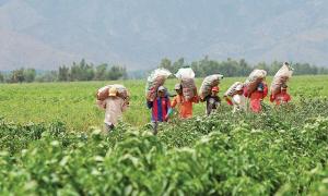 PIURA: COORDINAN PLAN MAESTRO PARA DESARROLLO DE LA MESETA ANDINA