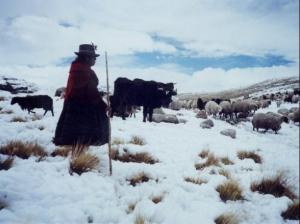 PLAN MULTISECTORIAL DE HELADAS Y FRIAJES 2013 "ABRIGA PERÚ" AÚN CON LIMITANTES