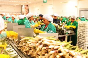 Plantean medidas para que exportaciones contribuyan más al crecimiento de la economía