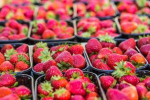 Polonia es el décimo tercer mayor productor de fresas del mundo