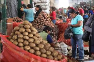 Pondrán a la venta  20 toneladas de papa para absorber sobreproducción