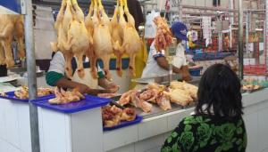 Precio del maíz importado se mantendrá alto y tendrá impacto directo en el pollo