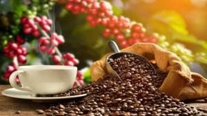 Precios del café se ajustan tras máximos históricos y reconfiguran el mercado global