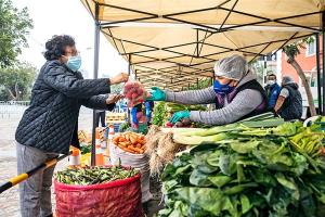 Precios internacionales de alimentos corrigen a la baja