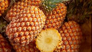 Presentan perfil comercial de piña peruana con visión internacional