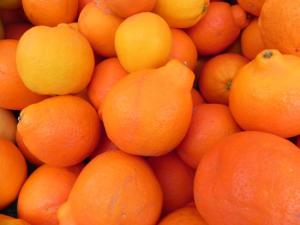 PROCITRUS CONTARÁ CON SELLO DE CALIDAD PARA SU PRODUCTOS