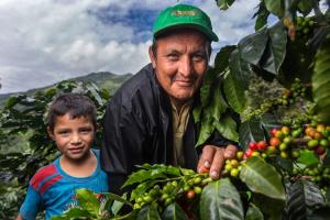 Producción agropecuaria de Pasco creció 23% en 2021