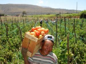 PRODUCCIÓN AGROPECUARIA SOLO CRECIÓ 3,9%