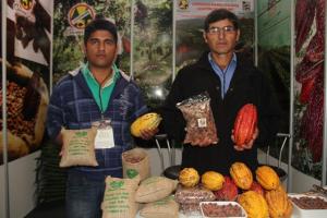PRODUCCIÓN CACAOTERA DE LA COOPERATIVA DEL VALLE DEL RÍO ENE CRECERÍA 33% EN 2014