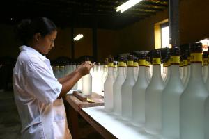 PRODUCCIÓN DE PISCO CRECIÓ 50.8% EN EL ÚLTIMO QUINQUENIO